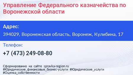 Управление Федерального казначейства по Воронежской области - визитка