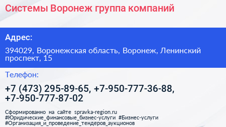 Системы Воронеж группа компаний - визитка