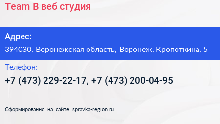 Team B веб студия - визитка