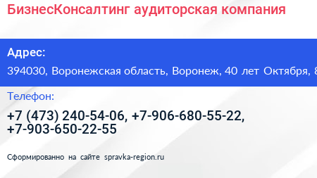 БизнесКонсалтинг аудиторская компания - визитка