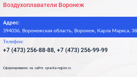 Воздухоплаватели Воронеж - визитка