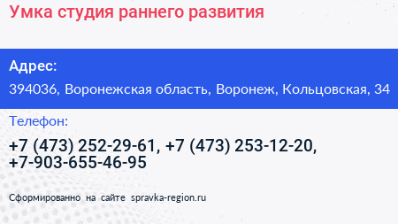 Умка студия раннего развития - визитка