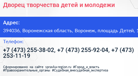 Дворец творчества детей и молодежи - визитка