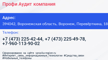 Профи Аудит компания - визитка