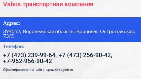 Vabus транспортная компания - визитка