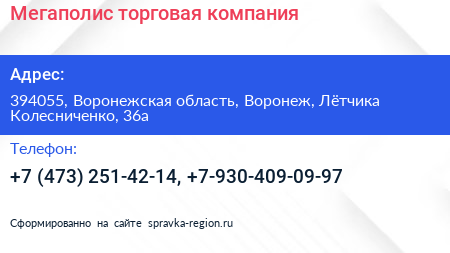 Мегаполис торговая компания - визитка