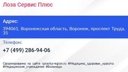 Лоза Сервис Плюс - визитка