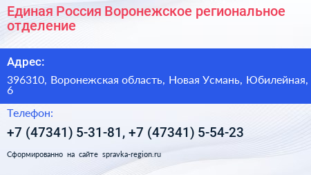Единая Россия Воронежское региональное отделение - визитка