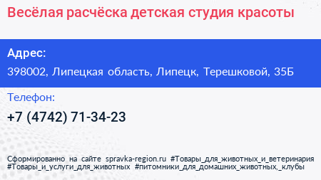 Весёлая расчёска детская студия красоты - визитка