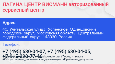 ЛАГУНА ЦЕНТР ВИСМАНН авторизованный сервисный центр - визитка