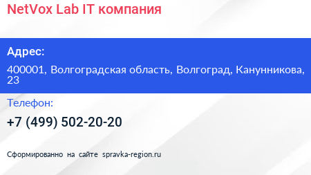 NetVox Lab IT компания - визитка