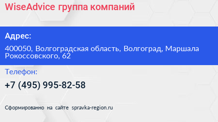 WiseAdvice группа компаний - визитка