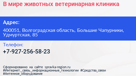 В мире животных ветеринарная клиника - визитка