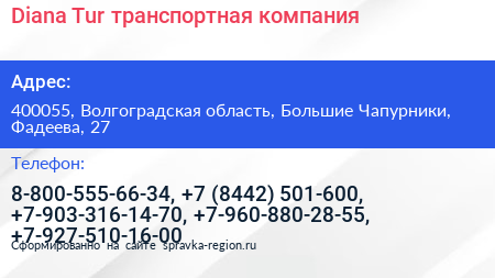 Diana Tur транспортная компания - визитка