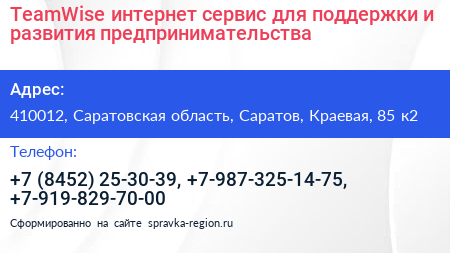 TeamWise интернет сервис для поддержки и развития предпринимательства - визитка