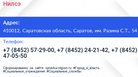 Нилсэ - визитка