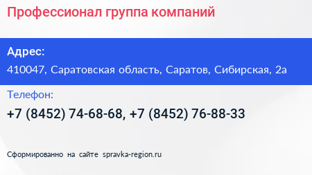Профессионал группа компаний - визитка