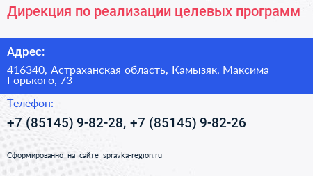 Дирекция по реализации целевых программ - визитка