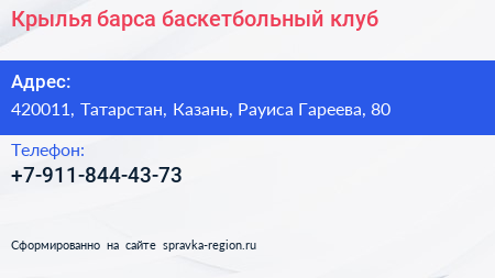 Нажмите, чтобы скачать визитку Крылья барса баскетбольный клуб - визитка