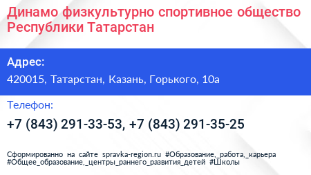 Динамо физкультурно спортивное общество Республики Татарстан - визитка