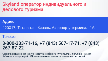 Skyland оператор индивидуального и делового туризма - визитка