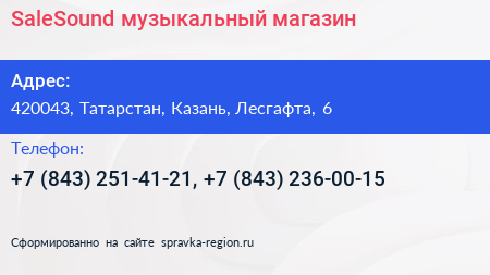 SaleSound музыкальный магазин - визитка