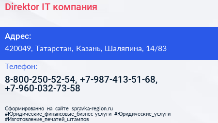 Direktor IT компания - визитка