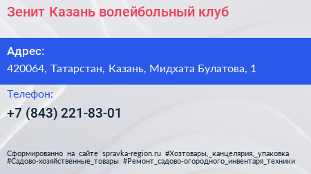 Зенит Казань волейбольный клуб - визитка