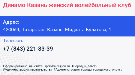 Динамо Казань женский волейбольный клуб - визитка