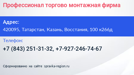 Профессионал торгово монтажная фирма - визитка