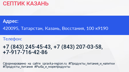 СЕПТИК КАЗАНЬ - визитка