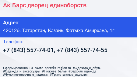 Ак Барс дворец единоборств - визитка