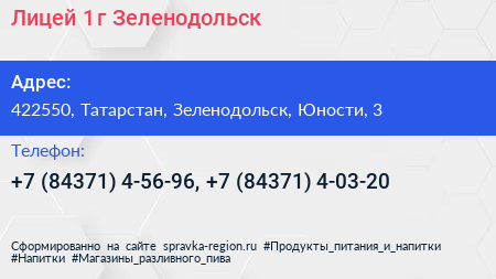 Лицей 1 г Зеленодольск - визитка