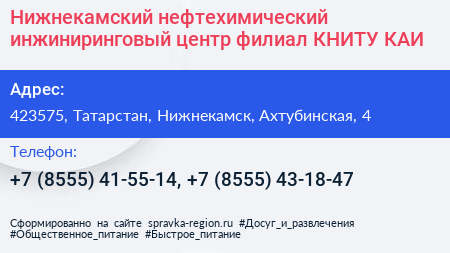 Нижнекамский нефтехимический инжиниринговый центр филиал КНИТУ КАИ - визитка
