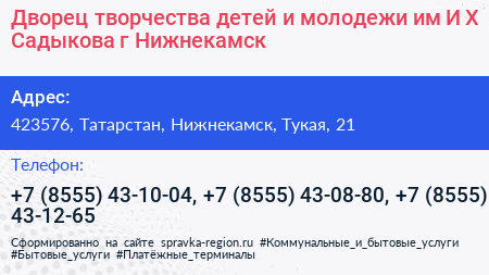 Дворец творчества детей и молодежи им И Х Садыкова г Нижнекамск - визитка