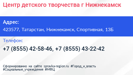 Центр детского творчества г Нижнекамск - визитка