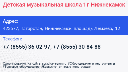 Детская музыкальная школа 1 г Нижнекамск - визитка