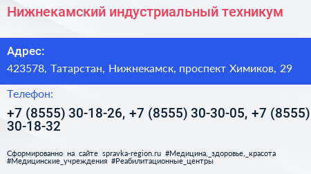 Нижнекамский индустриальный техникум - визитка
