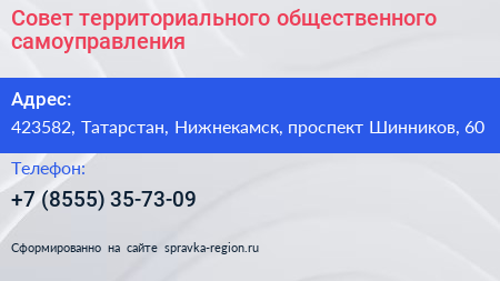 Совет территориального общественного самоуправления - визитка