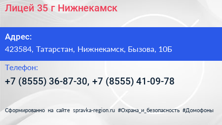 Лицей 35 г Нижнекамск - визитка