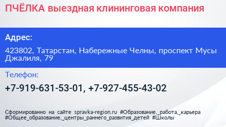 ПЧЁЛКА выездная клининговая компания - визитка