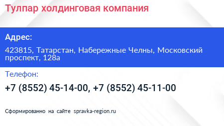 Тулпар холдинговая компания - визитка