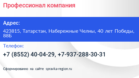 Профессионал компания - визитка