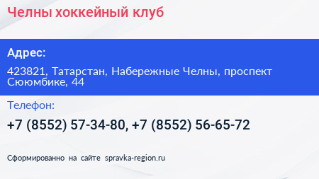 Челны хоккейный клуб - визитка