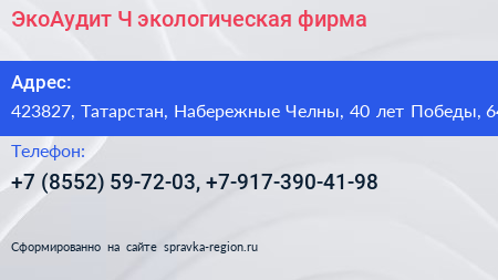 ЭкоАудит Ч экологическая фирма - визитка