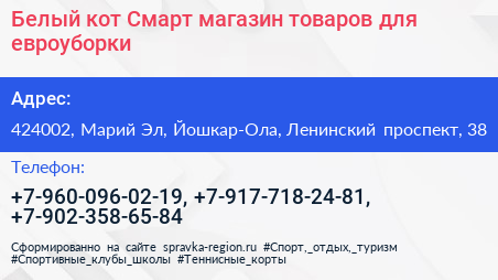 Белый кот Смарт магазин товаров для евроуборки - визитка