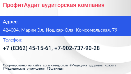 ПрофитАудит аудиторская компания - визитка