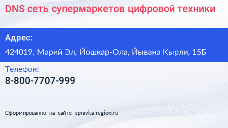 DNS сеть супермаркетов цифровой техники - визитка