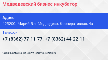 Медведевский бизнес инкубатор - визитка