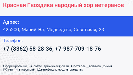 Красная Гвоздика народный хор ветеранов - визитка
